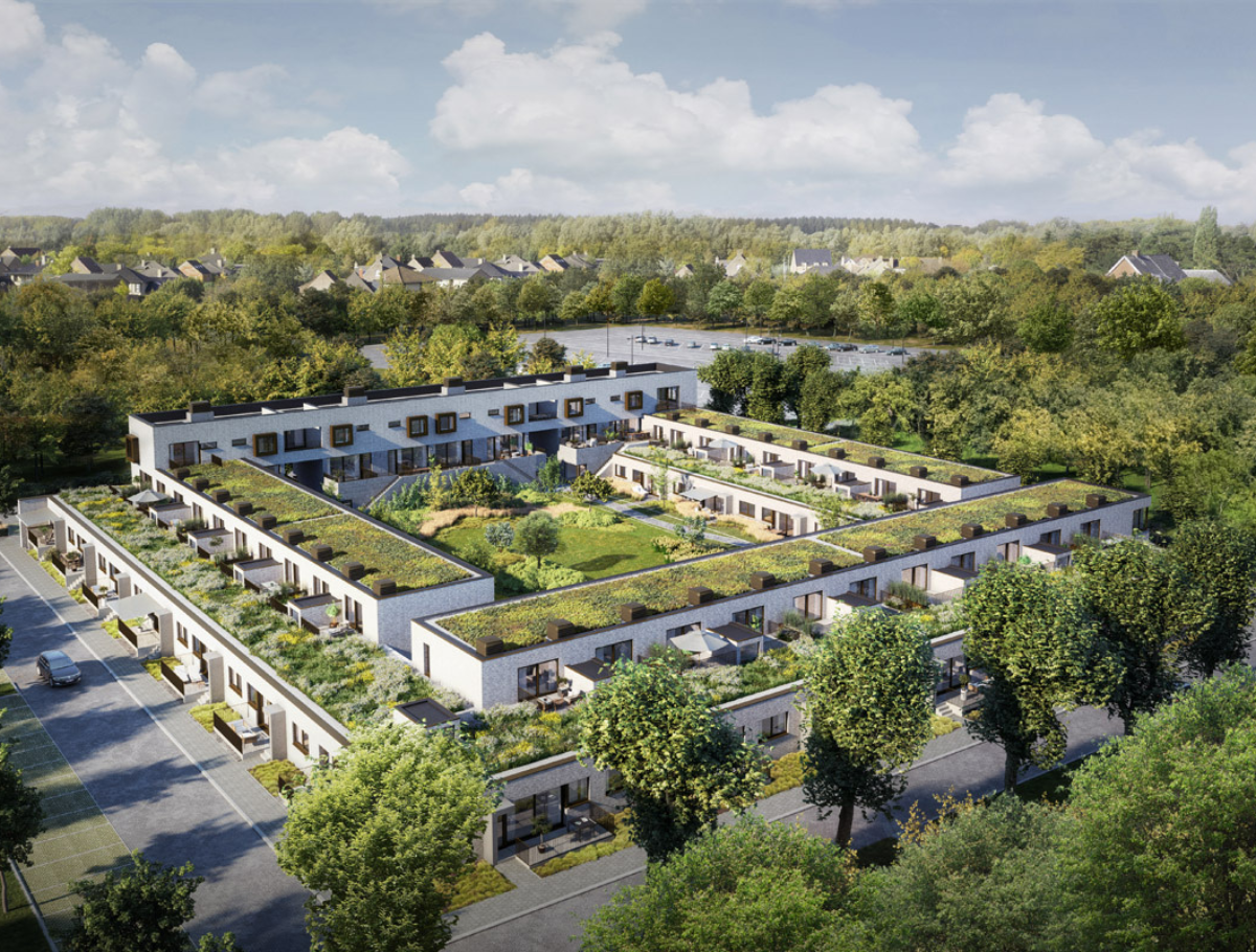 TENERGA ENERGY SERVICES