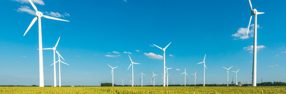 Coopérative éolienne en Belgique